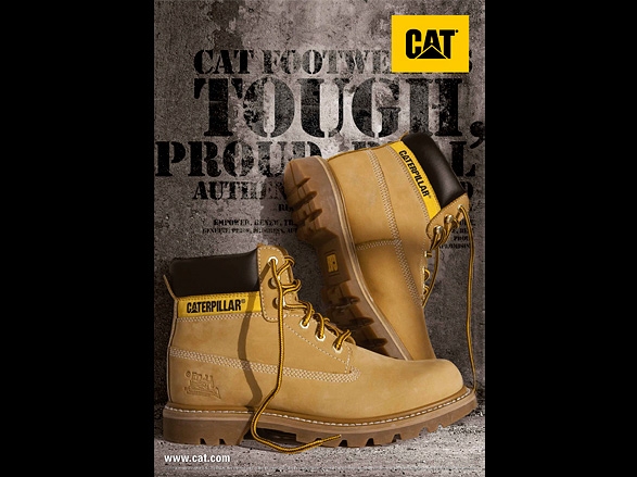 CATshoes02