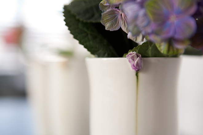 CNFbnature03052011071